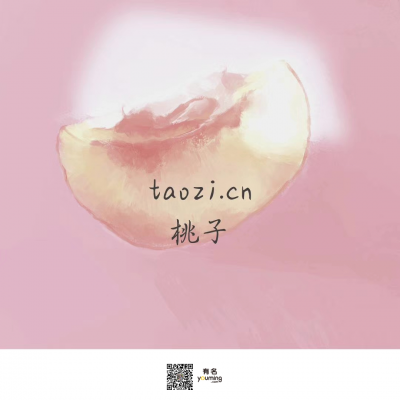 taozi.cn
